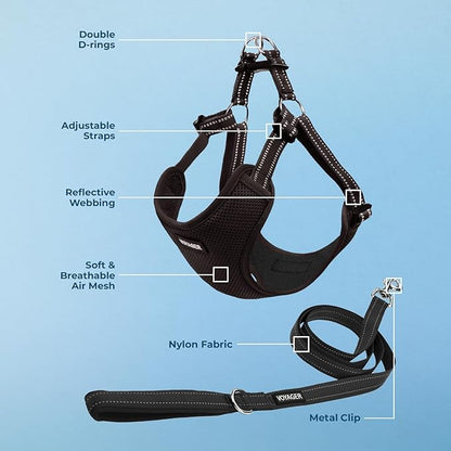 Best Pet Supplies Voyager Adjustable Step-in Flex Breathable Mesh Dog Harness - Image 3