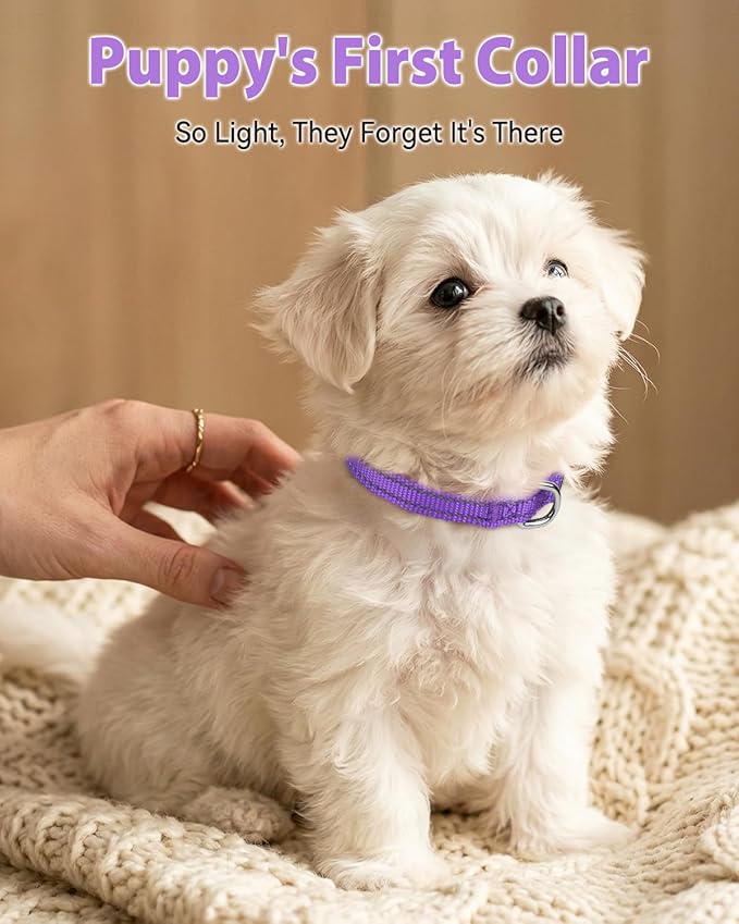 Joytale Puppy Collar, Feather-Light Double-Sided Reflective Nylon Collar - Image 2