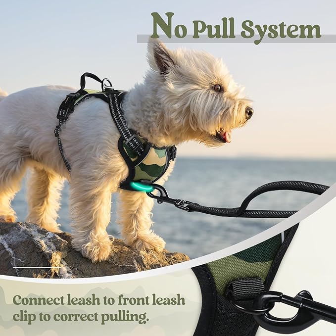 rabbitgoo Dog Harness No Pull - Image 5