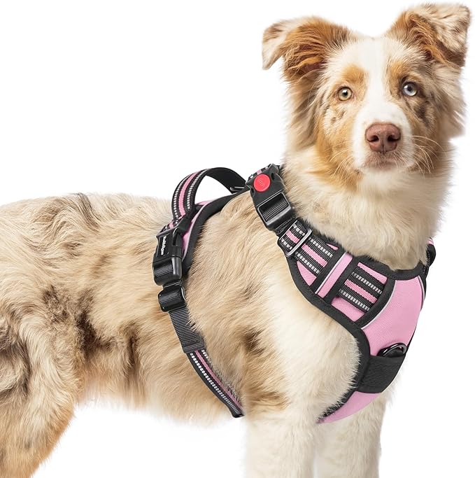 rabbitgoo Dog Harness Medium Sized, No Pull Easy On & Off by rabbitgoo