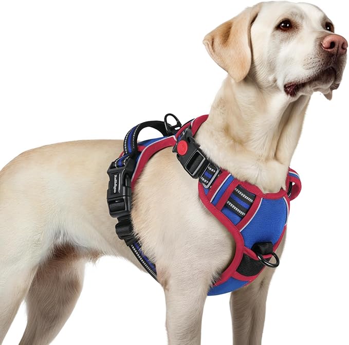 rabbitgoo Dog Harness for Large, No Pull Easy On & Off by rabbitgoo