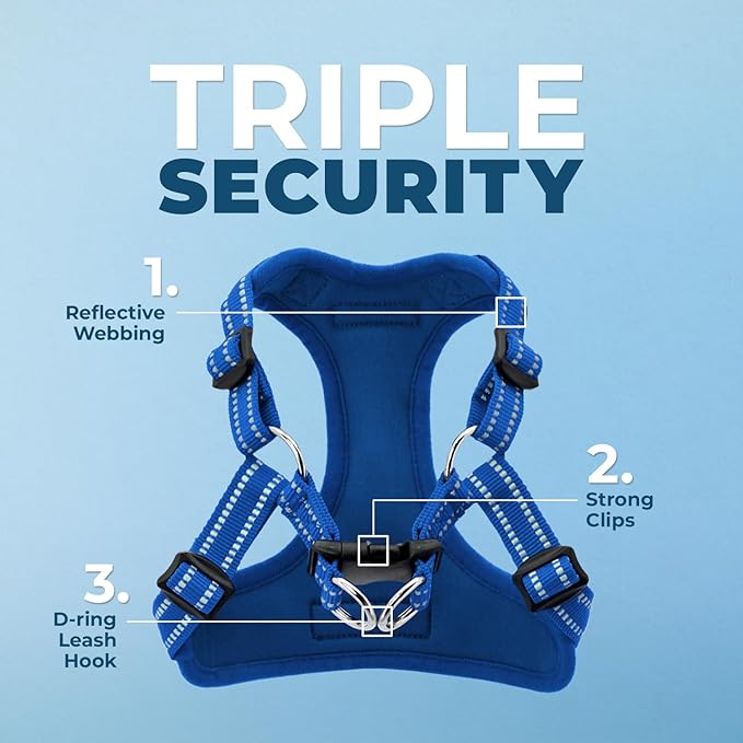 Best Pet Supplies Voyager Adjustable Step-in Flex Breathable Mesh Dog Harness - Image 2
