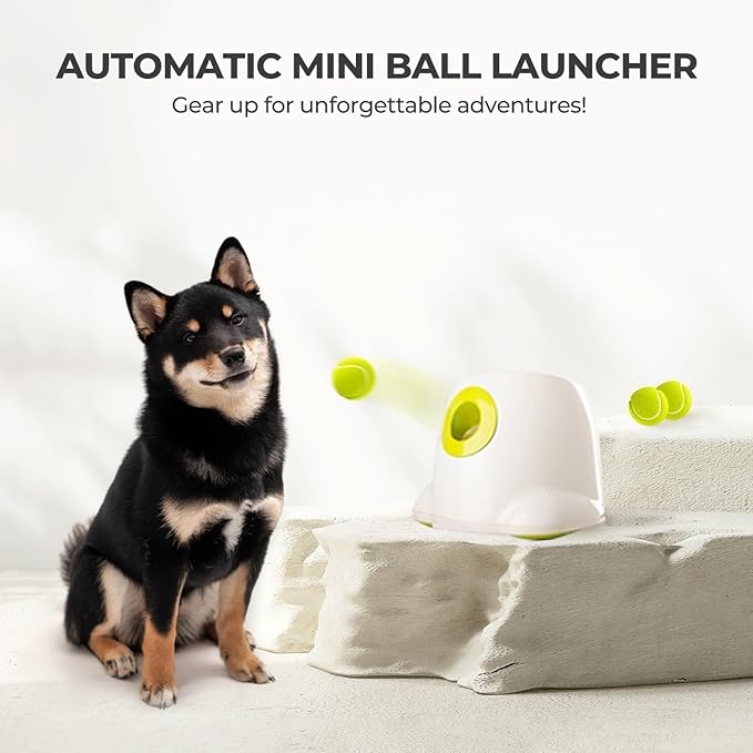 ALL FOR PAWS Automatic Dog Ball Launcher, Interactive Fetch Toy for Small to - Image 7