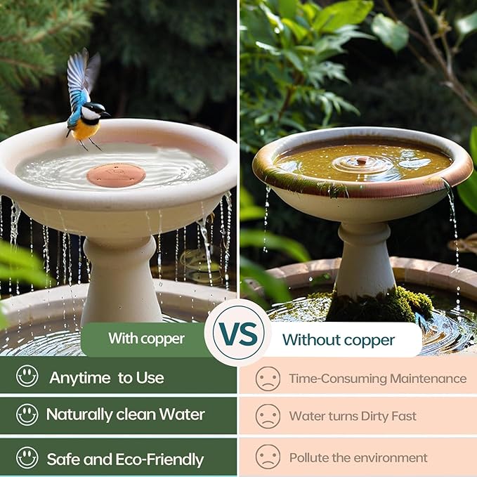 QIANQIANBird Bath Copper Disk, 0.6mm Reinforced 99.99% Pure Copper Cleaning Disk - Image 2