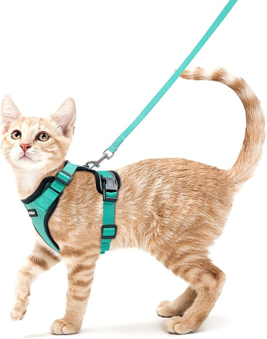 rabbitgoo Cat Harness and Leash Set, Escape Proof Kitten Harness by rabbitgoo