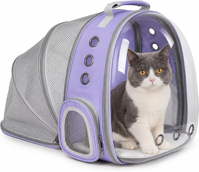 Expandable Cat Backpack Carrier, Breathable Clear Bubble Window Pet Carrier by TOYSINTHEBOX