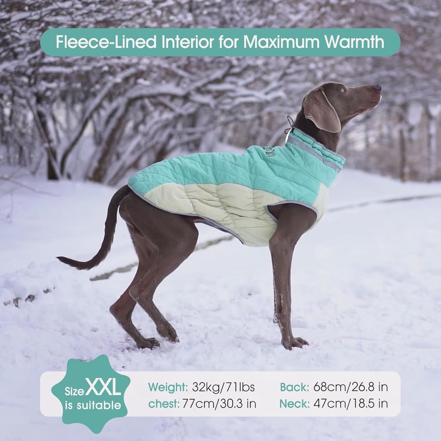 FUAMEY Dog Coat for Large Dogs,Waterproof Dog Winter Jacket with Harness Built in Puppy Cold Weather Coats Reflective Pet Vest with Zipper Warm Fleece Dogs Snowsuit Windproof Mint Green L