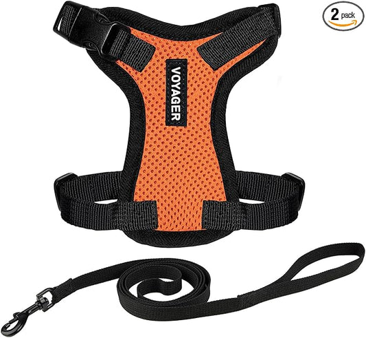 Voyager Escape-Proof Step-in Lock Cat Harness & 5ft Neoprene-Handle Leash Set by BestPetSuppliesLLC