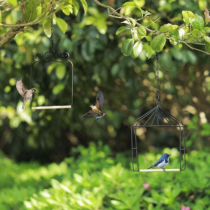 Metal Frame Hummingbird Swings and Perches - Image 6