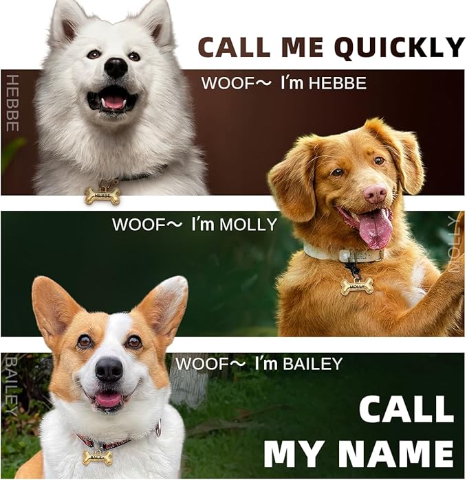 Dogs Tag Stylish Personalized Double Sided Deep Engraved Cat & Dog Tags Engraved - Image 2
