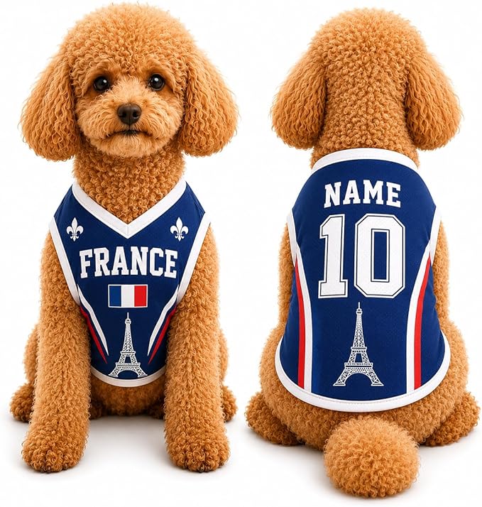 V-DECORPARKS Personalized Pet Soccer Jersey Custom Name Number Dog Cat Football by V-Decorparks