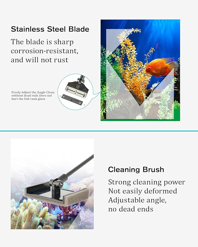Stainless Steel Algae Scraper Aquarium Cleaning Tool - Image 4