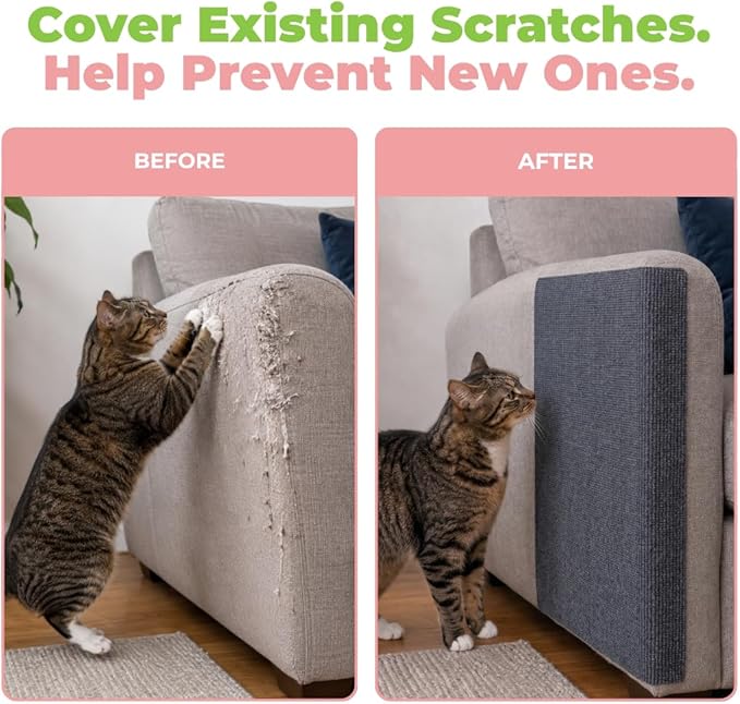 Best Pet Supplies Catify Cat Scratcher, Fun Interactive Scratchers, Claw Safe - Image 6