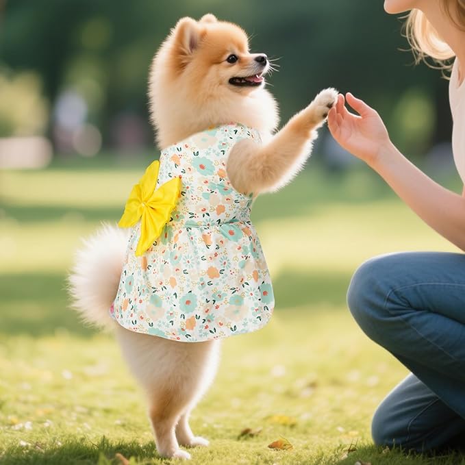 choyaxo 4pcs Cute Dog Dress Pet Dress Puppy Skirt Summer Pet Clothes - Image 4