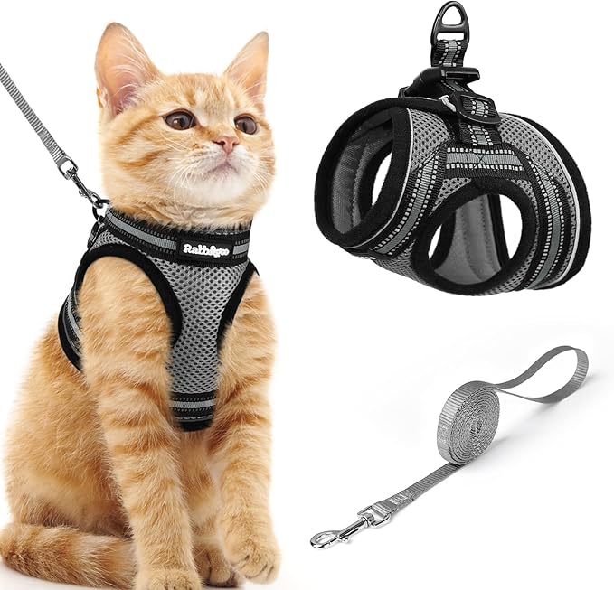 rabbitgoo Cat Harness and Leash, Step-in Escape Proof Kitten Harness Set by rabbitgoo