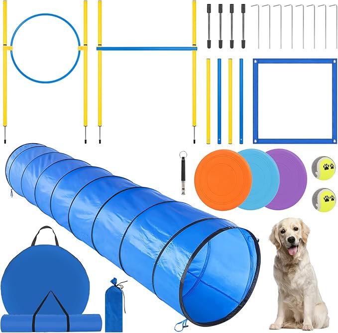 Dog Agility Course Backyard Set by RAINQUEEN