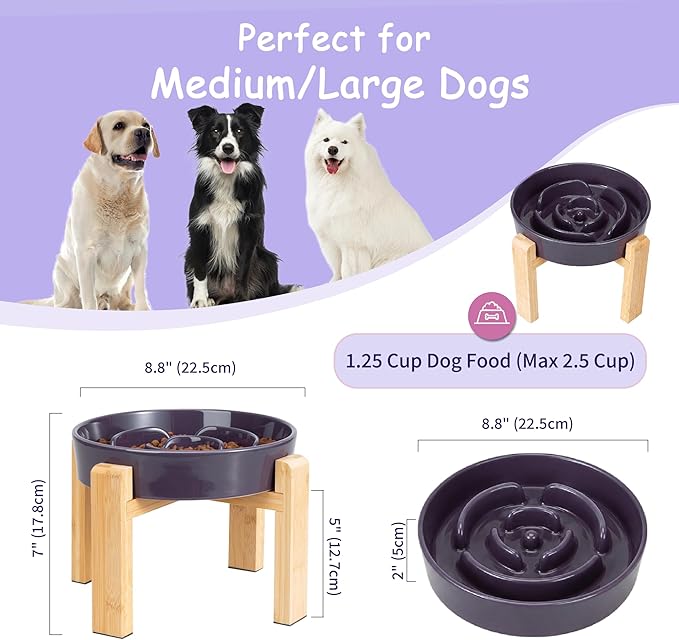 Elevated Slow Feeder Dog Bowl Large Breed, 8.8 Inch Ceramic Slow Eating Bowl - Image 2