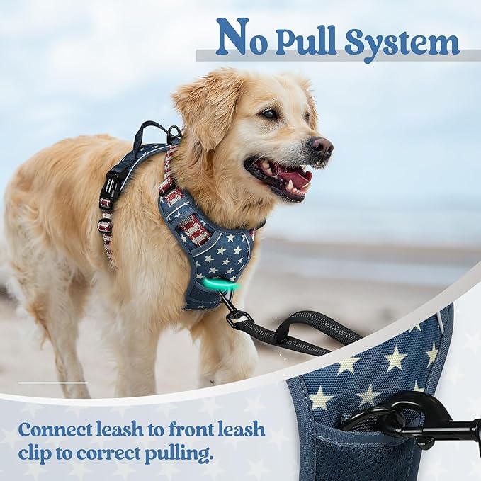 rabbitgoo Dog Harness No Pull - Image 5