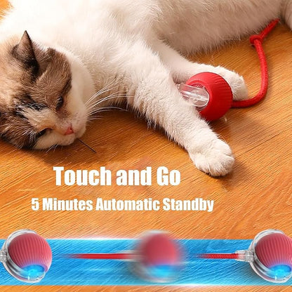 Interactive Cat Toy, Electric Dog BallToy, Cat Toys - Image 6
