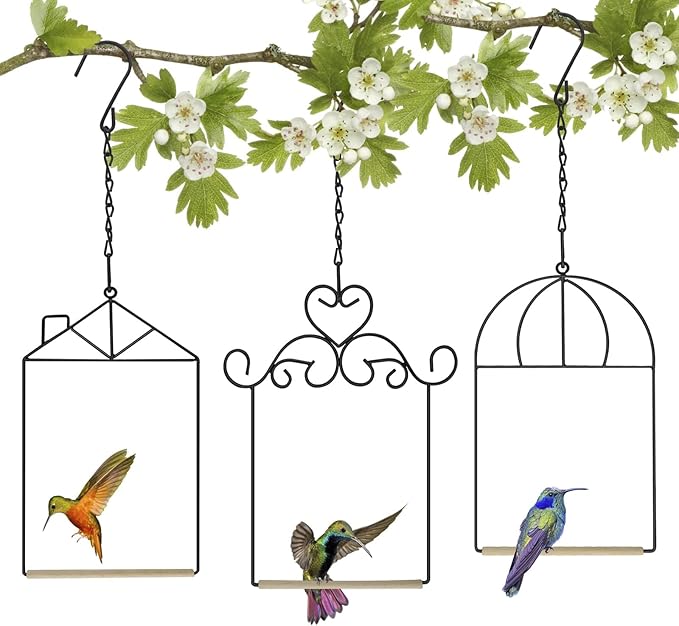 Metal Frame Hummingbird Swings and Perches by XYADX