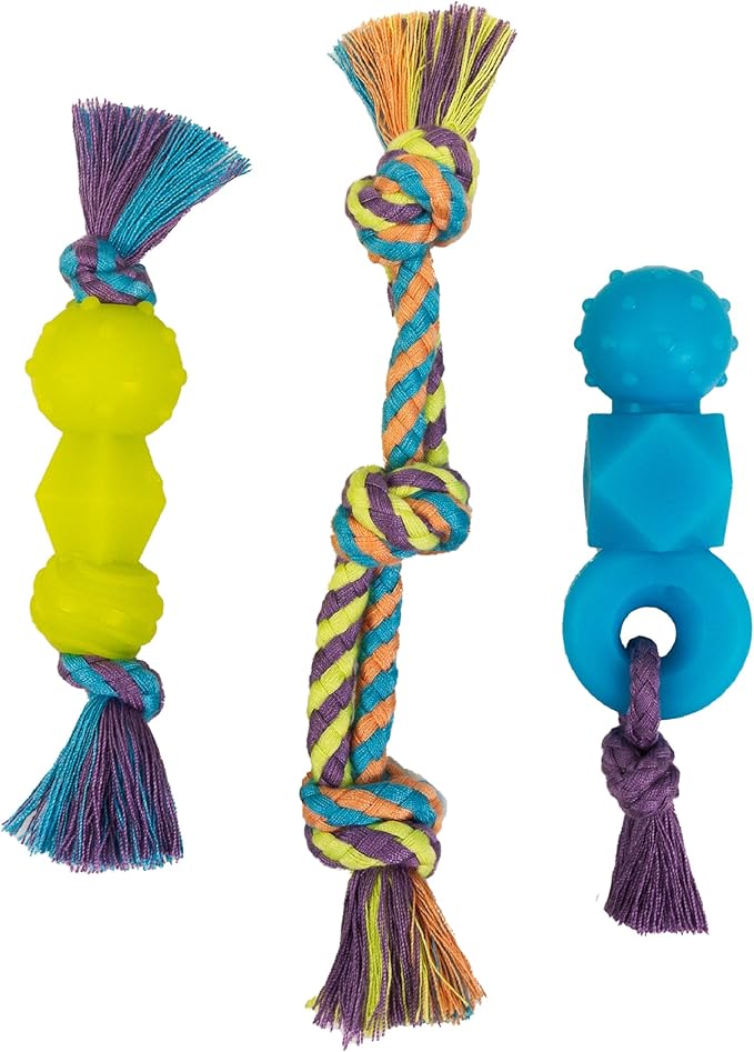 Mini Dentachew Pack Dental Chew Toy, Fetch & Tug Rope, Puppies & Small Dogs by Pupstages