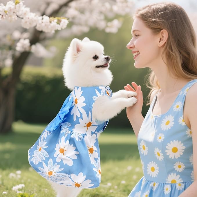 choyaxo 4pcs Cute Dog Dress Pet Dress Puppy Skirt Summer Pet Clothes - Image 3