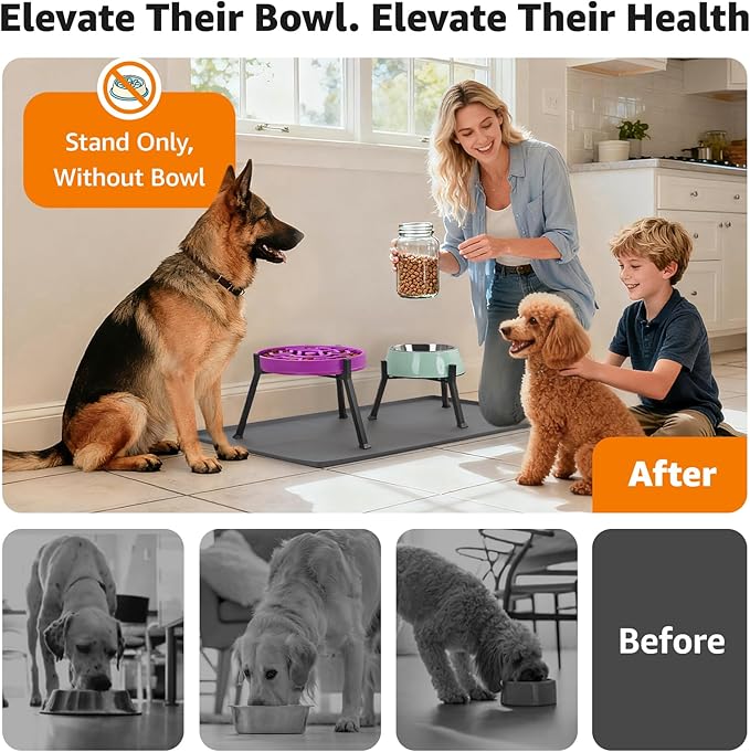 LOOBANI Elevated Dog Bowl Stand: Fits - Image 3