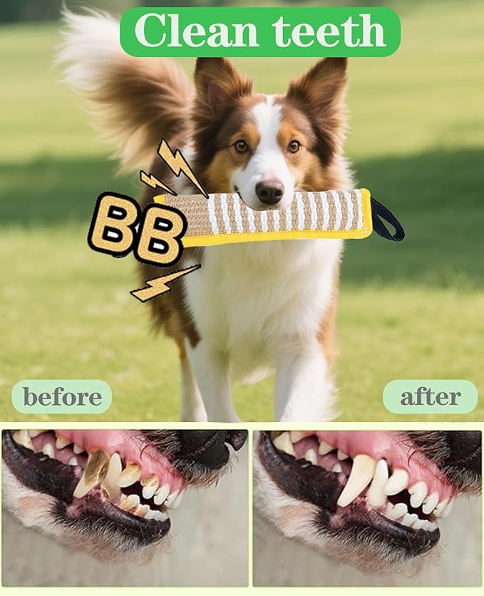 Clysoru Squeaky Tug Toy for Dogs Jute - Image 4