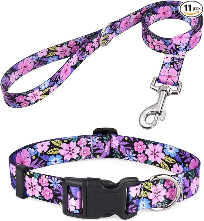 Mihqy Dog Collar and Leash Set by Mihqy