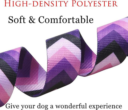 Mihqy Dog Collar and Leash Set - Image 3