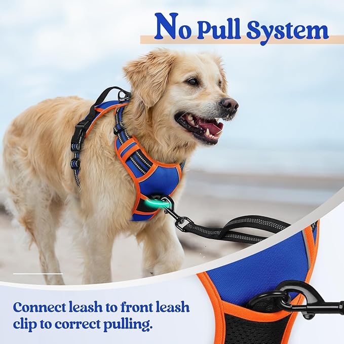 rabbitgoo Dog Harness No Pull - Image 5