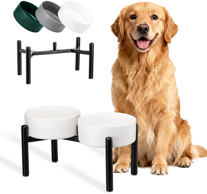 Dog Bowls Elevated by PTOBER