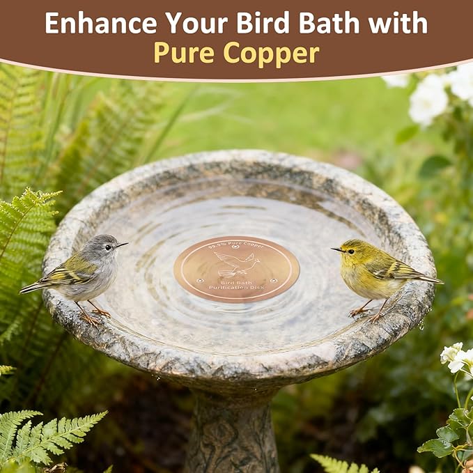 Bird Bath Copper Discs - Image 6