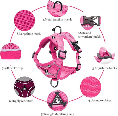 Wanheart Summer cat Chest Harness and Leash, Anti-Escape Adjustable Soft mesh - Image 4