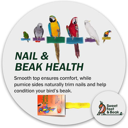 Sweet Feet and Beak Comfort Grip Safety Perch - Image 6