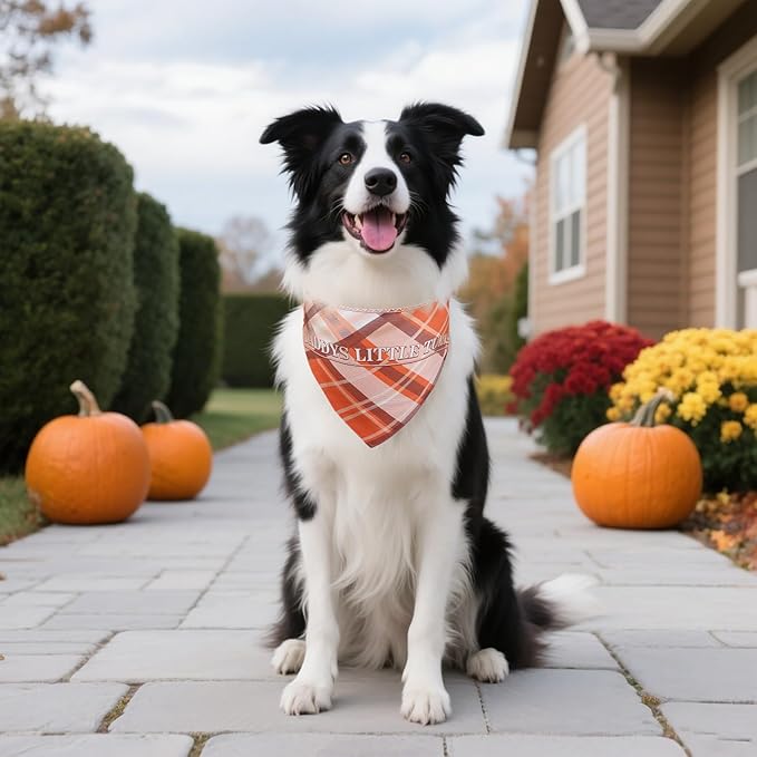 Thanksgiving Dog Bandanas 2 Pack, Fall Dog Bandanas - Image 8