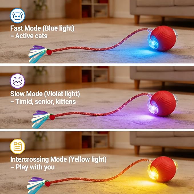 Speedy Tail 2.0 Cat Toy – 2 Replaceable Tails, Controllable Chirping, Motion - Image 2