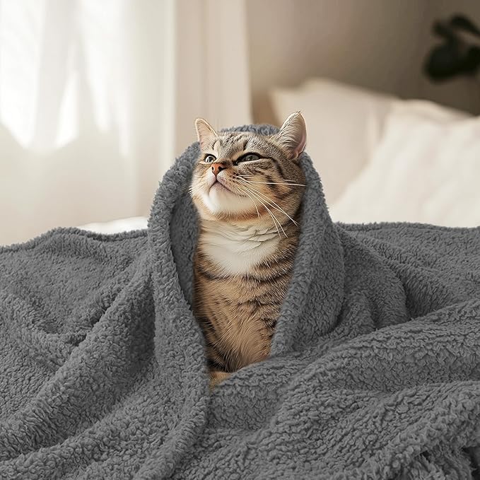 Luciphia Premium Fleece Pet Blanket - Image 6