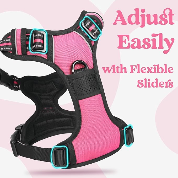 rabbitgoo Dog Harness for Large, No Pull Easy On & Off - Image 4
