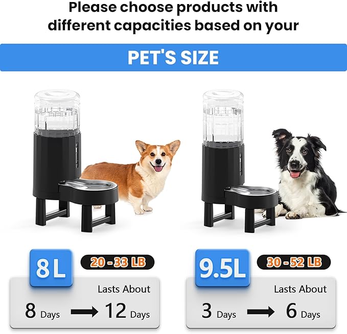 CZPET Elevated Dog Water Bowl Dispenser - Image 7