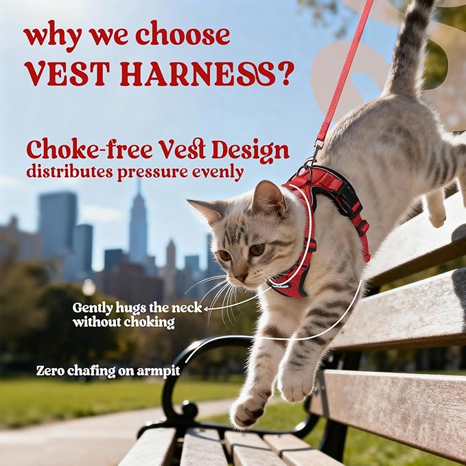 rabbitgoo Cat Harness and Leash Set, Escape Proof Vest Harness - Image 3