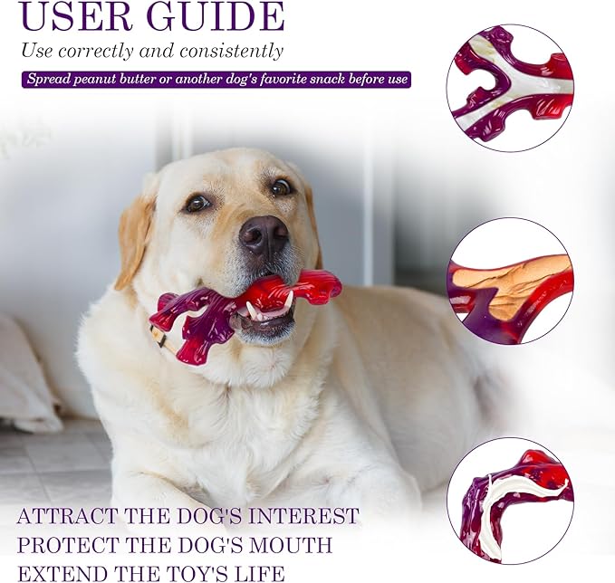 Frienhund 6-Pack Indestructible Dog Toys - Image 2
