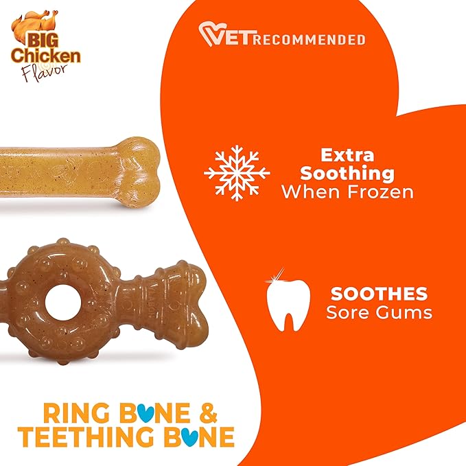 Nylabone Ring Bone & Teething Bone Puppy Chew Toy - Image 6