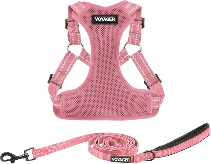 Best Pet Supplies Voyager Adjustable Step-in Flex Breathable Mesh Dog Harness by BestPetSuppliesLLC