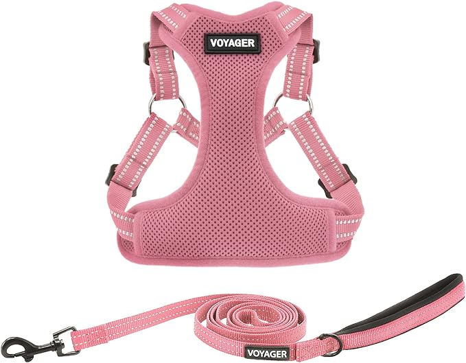 Best Pet Supplies Voyager Adjustable Step-in Flex Breathable Mesh Dog Harness by BestPetSuppliesLLC