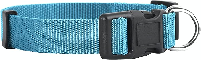 Native Pup Basic Nylon Dog Collar, Adjustable by NativePup