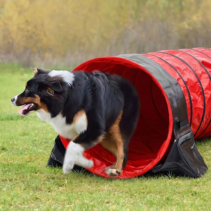 Briwooody 24 in 10 Foot PVC Dog Agility Tunnel - Image 6