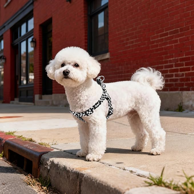 PUPTECK No Pull Dog Harness Soft Adjustable Basic Nylon Step in Puppy Vest - Image 5