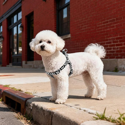 PUPTECK No Pull Dog Harness Soft Adjustable Basic Nylon Step in Puppy Vest - Image 5
