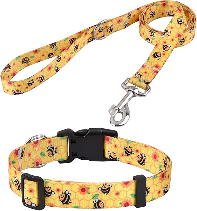 Mihqy Dog Collar and Leash Set by Mihqy